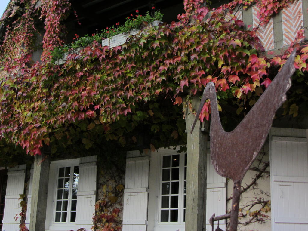 Les Vieux Guays Bed & Breakfast Cerdon  Екстериор снимка